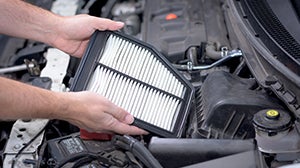 Cabin Air Filter and A/C Check $49.95